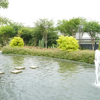 green foliage of Astana at Bamboo Hills