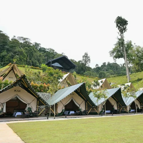 the grove ikan glampsite